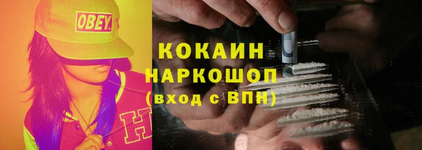 амф Богданович