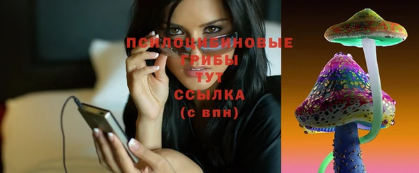 a pvp Богородицк
