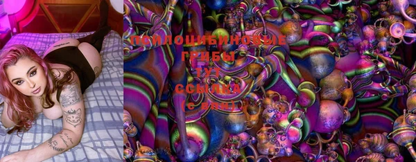 амф Богданович