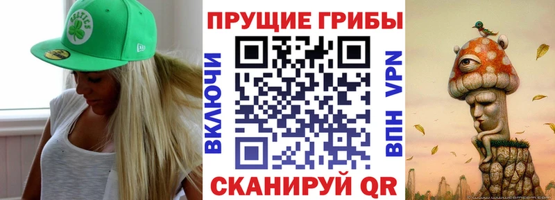 kraken вход  Среднеуральск  Галлюциногенные грибы Psilocybe 