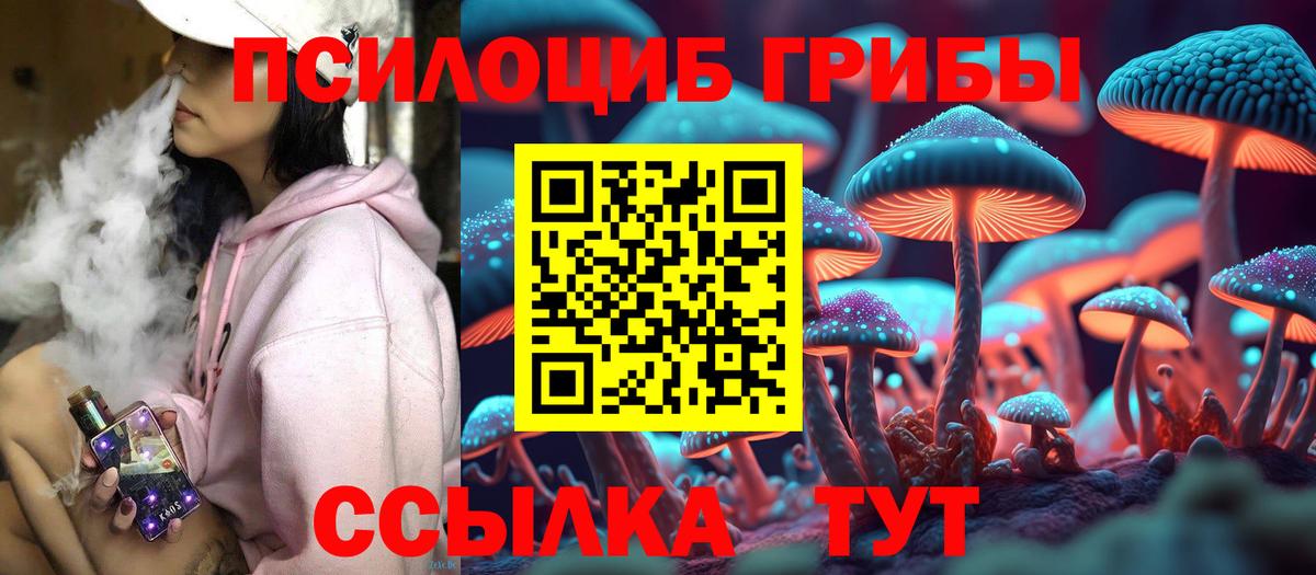 Псилоцибиновые грибы Psilocybine cubensis Среднеуральск