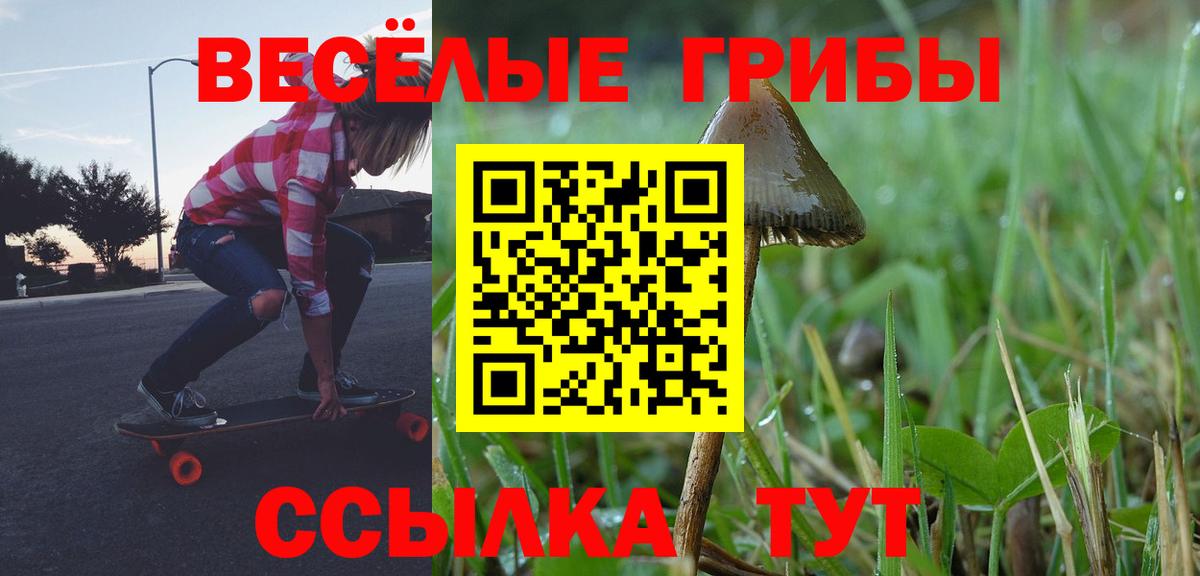 Среднеуральск  Псилоцибиновые грибы Cubensis  Псилоцибиновые грибы мухоморы  Вход с VPN 
